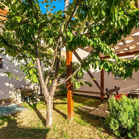 Gorgeous In With Outdoor Swimming Pool *